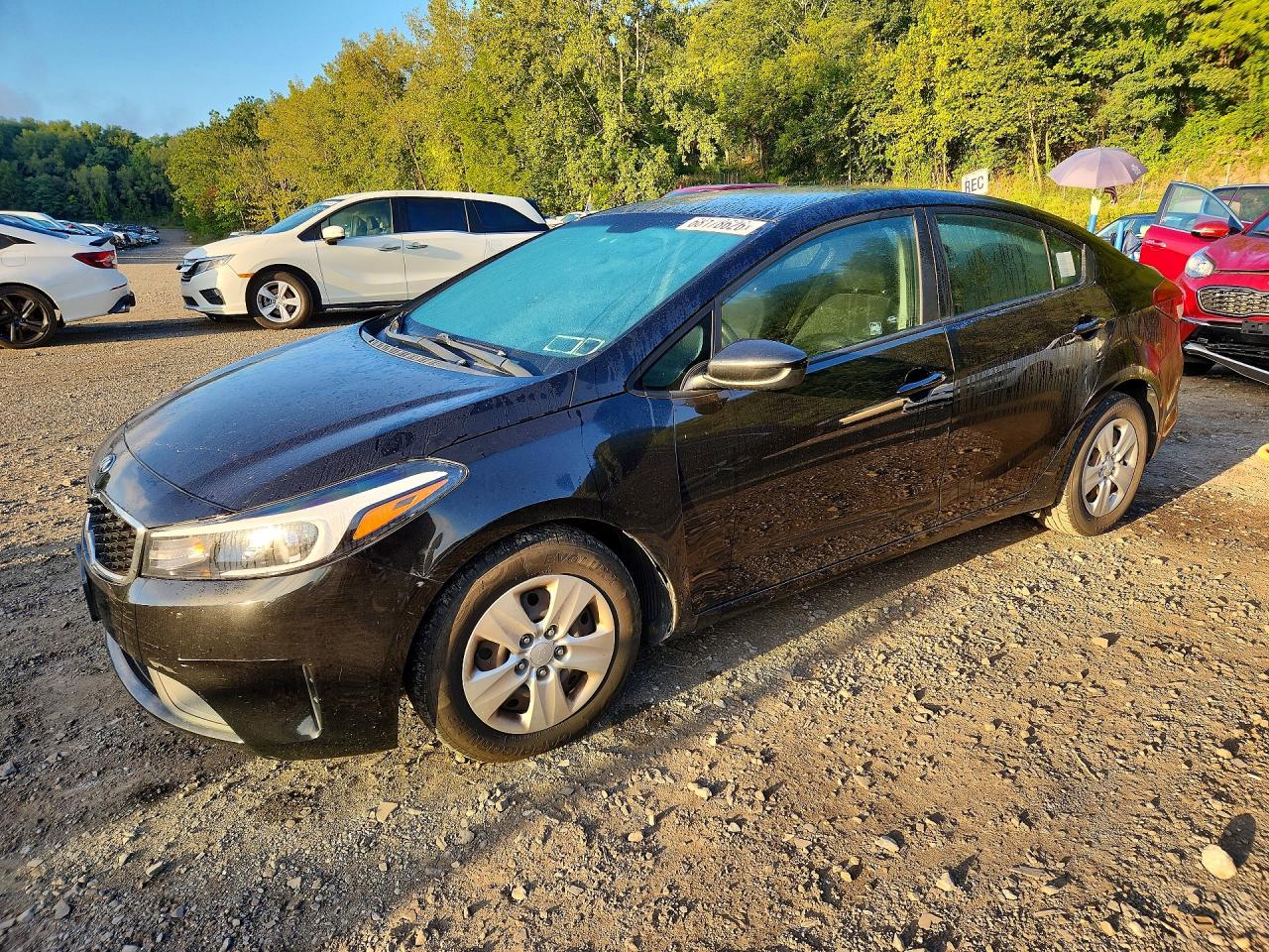 2017 KIA FORTE LX | 3KPFL4A7XHE153136 | UPCARS