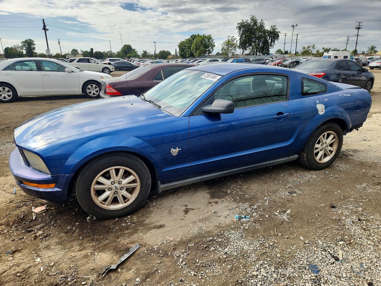 2009 FORD MUSTANG | 1ZVHT80N795132142 | UPCARS
