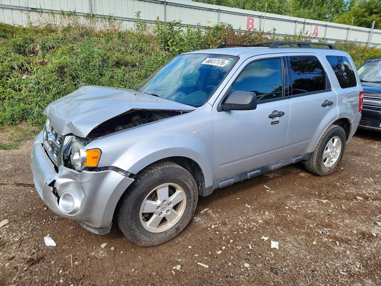 2011 FORD ESCAPE XLT | 1FMCU9D76BKB40750 | UPCARS