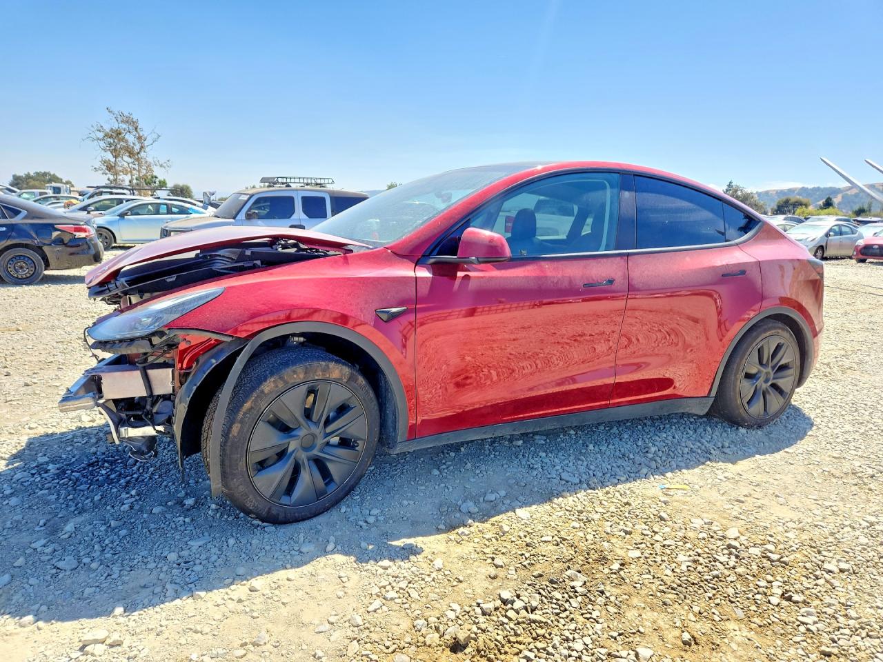 2024 TESLA MODEL Y | 7SAYGAEE3RF163560 | UPCARS