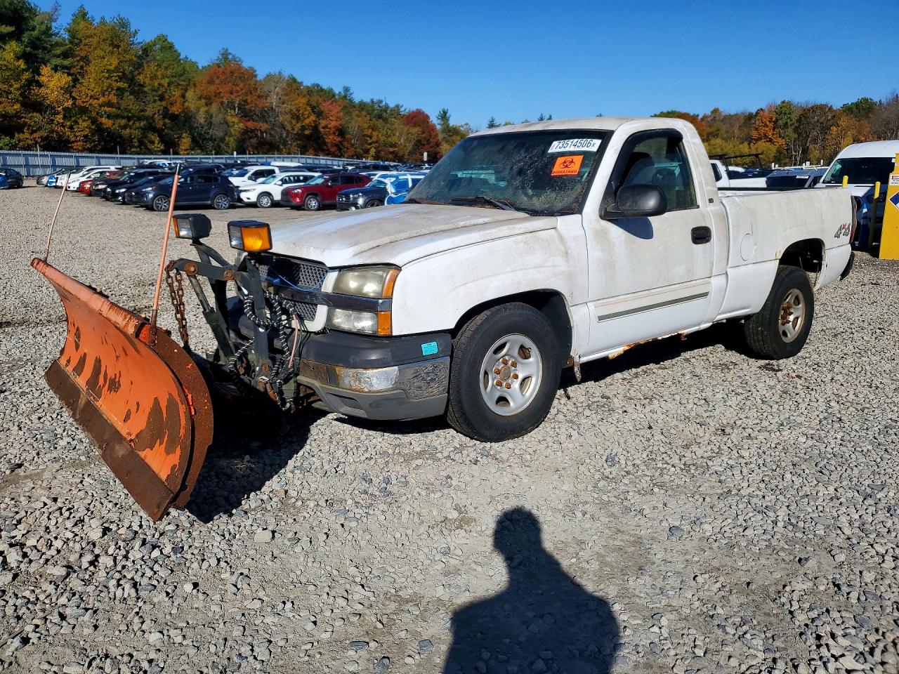 2004 CHEVROLET SILVERADO K1500 | 1GCEK14T54Z198070 | UPCARS