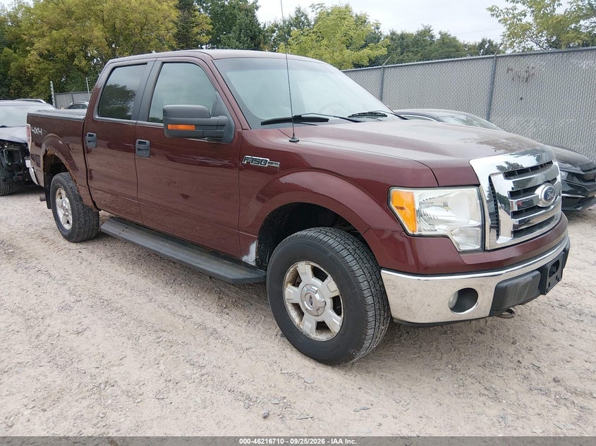 2010 FORD F-150 FX4/HARLEY-DAVIDSON/KING RANCH/LARIAT/PLATINUM/XL/XLT | 1FTFW1EV3AKB83595 | UPCARS