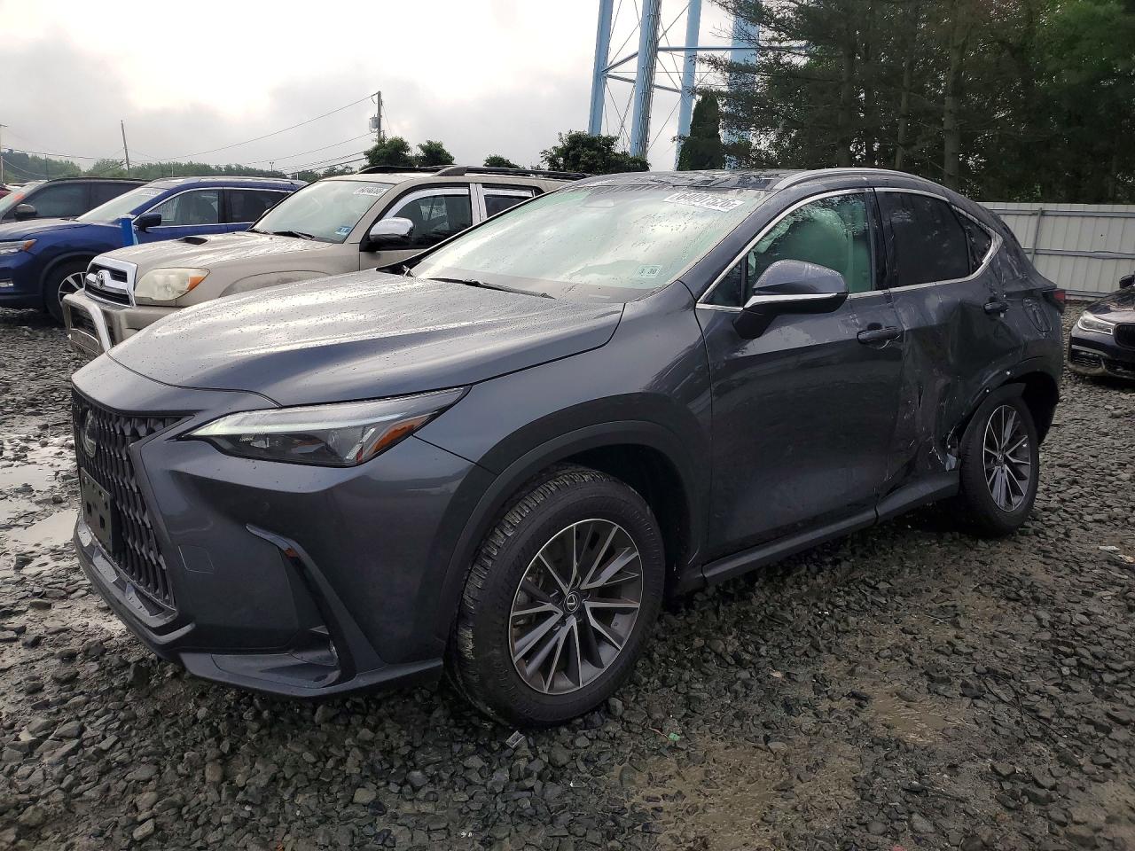 2025 LEXUS NX 350 PREMIUM | 2T2GGCEZ4SC077851 | UPCARS