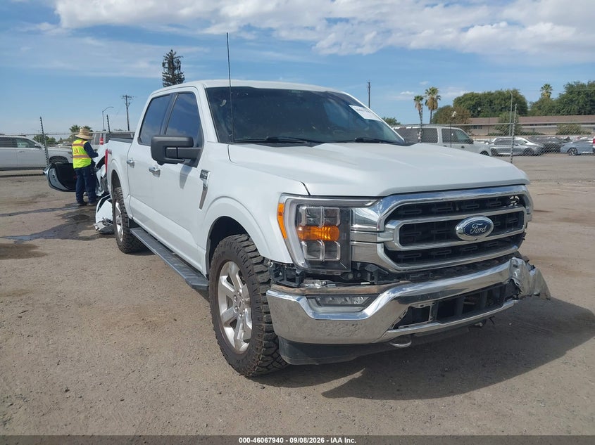 2021 FORD F-150 XLT | 1FTFW1E54MKE82825 | UPCARS
