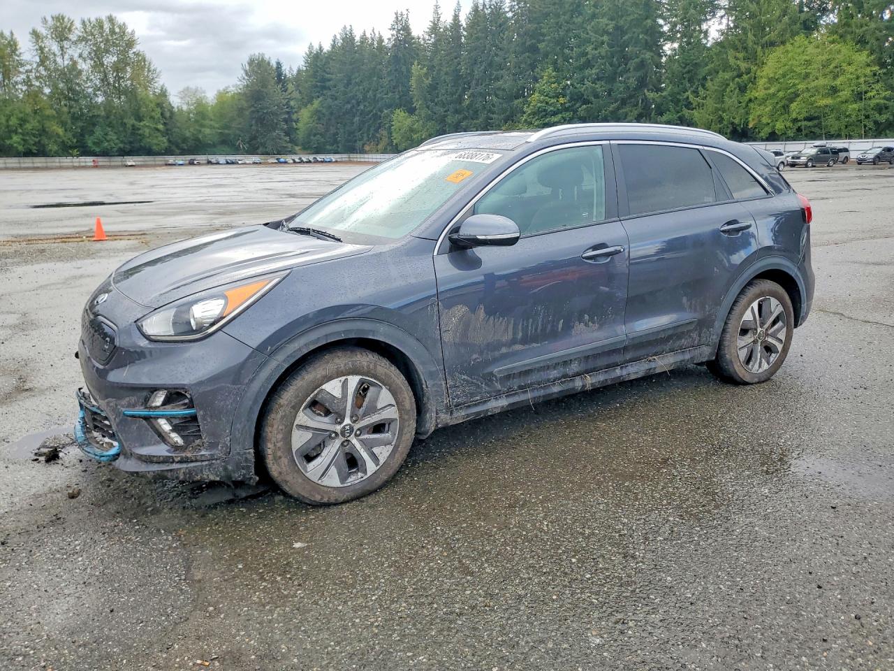 2019 KIA NIRO EX PREMIUM | KNDCE3LG7K5025816 | UPCARS