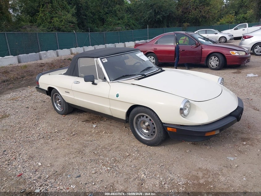 1987 ALFA ROMEO SPIDER GRADUATE | ZARBA5640H1045917 | UPCARS