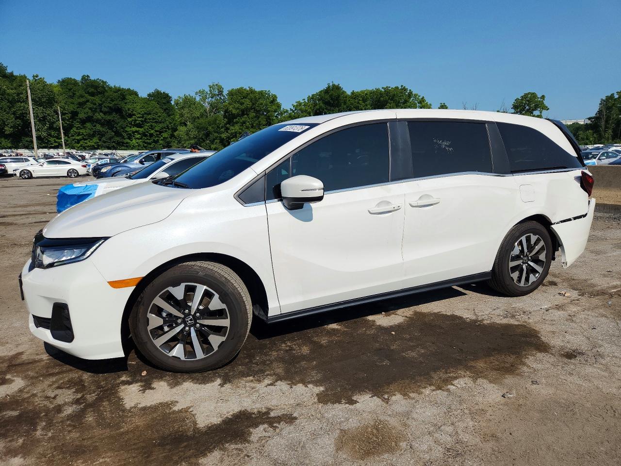 2026 HONDA ODYSSEY EXL | 5FNRL6H65TB055995 | UPCARS