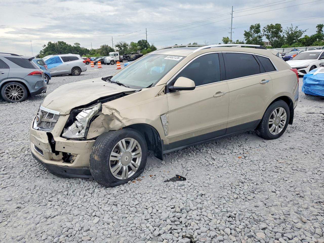 2010 CADILLAC SRX LUXURY COLLECTION | 3GYFNAEY6AS652450 | UPCARS