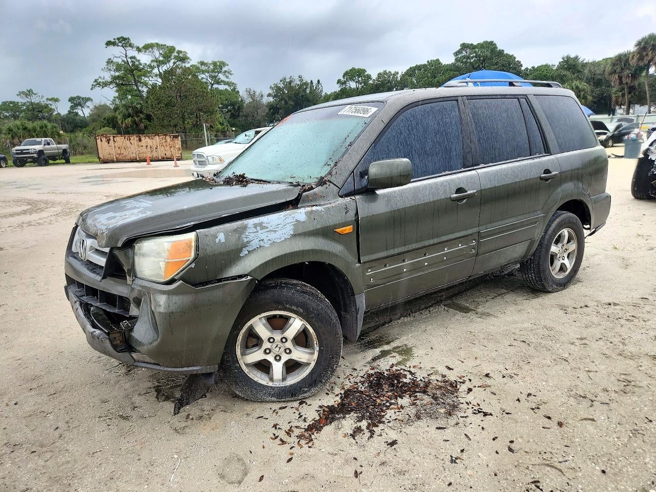 2006 HONDA PILOT EX | 5FNYF28456B036555 | UPCARS