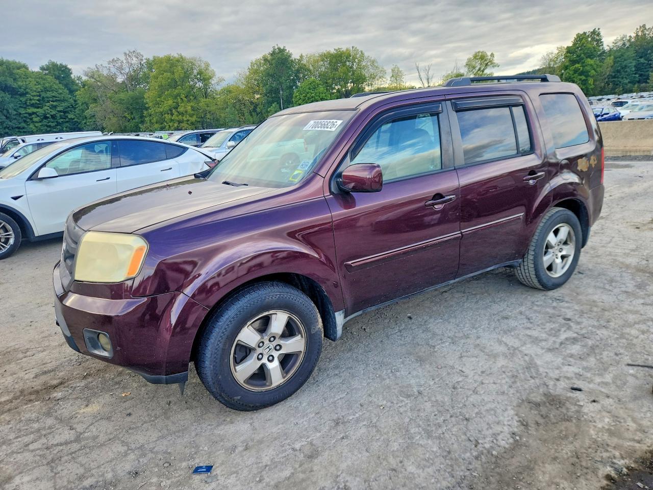 2009 HONDA PILOT EXL | 5FNYF48539B007144 | UPCARS