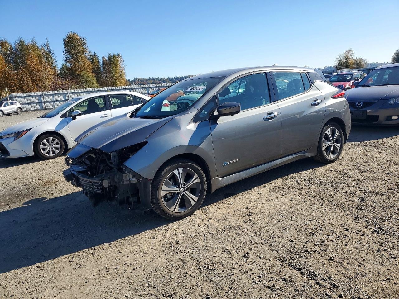 2019 NISSAN LEAF SL PLUS | 1N4BZ1CP1KC318164 | UPCARS