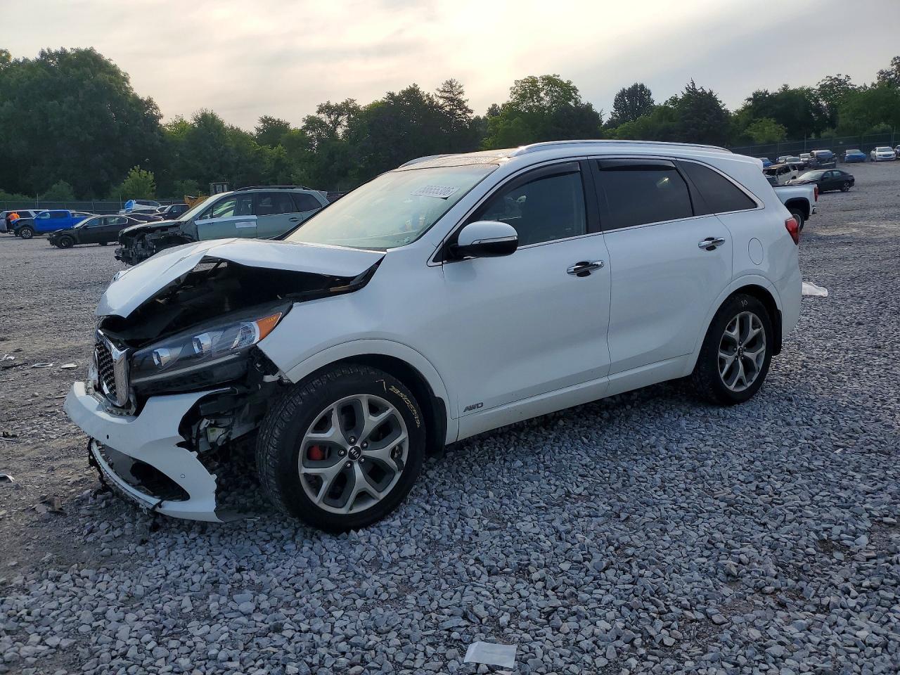 2019 KIA SORENTO SX V6 | 5XYPKDA52KG448991 | UPCARS