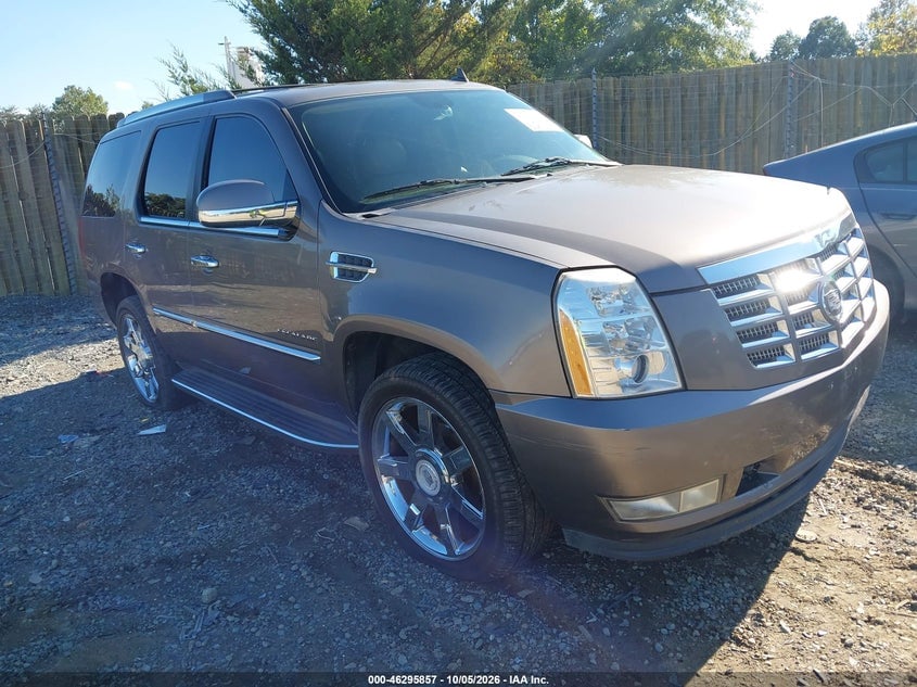2011 CADILLAC ESCALADE STANDARD | 1GYS3AEF2BR396539 | UPCARS