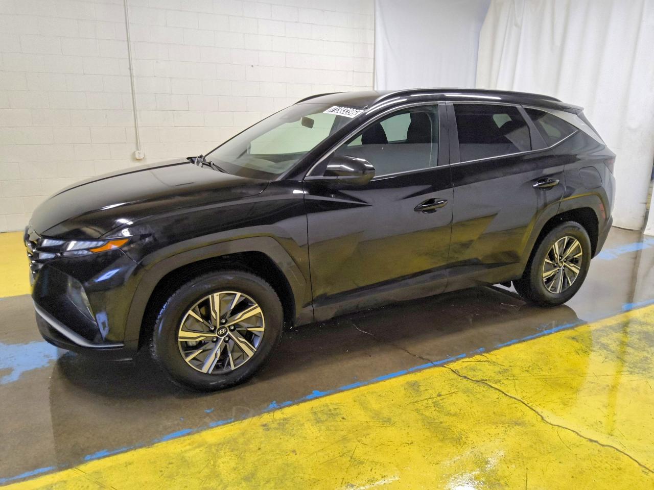 2024 HYUNDAI TUCSON BLUE | KM8JBCD19RU192720 | UPCARS