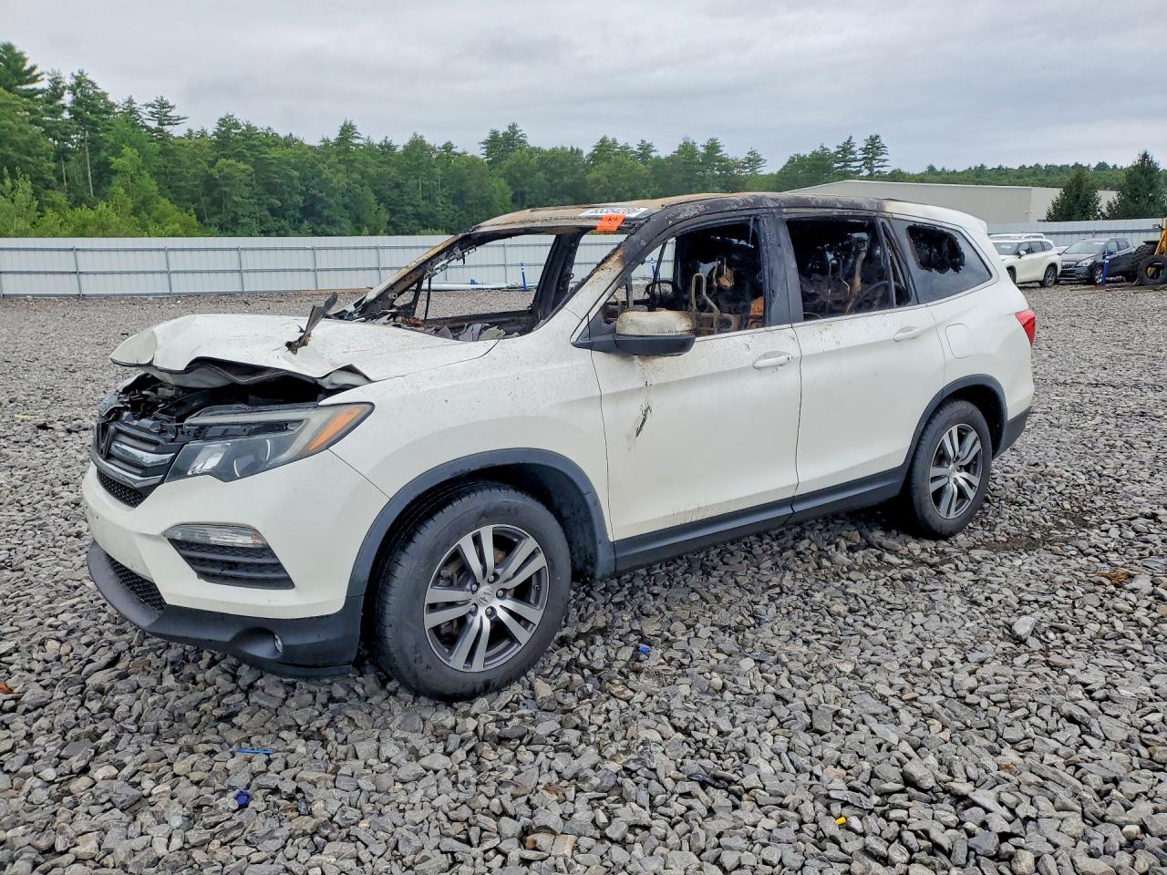 2017 HONDA PILOT EXL | 5FNYF5H54HB032882 | UPCARS