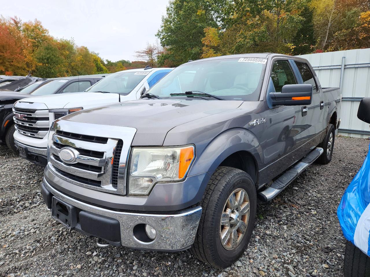 2009 FORD F150 SUPERCREW | 1FTRW14849FA06227 | UPCARS