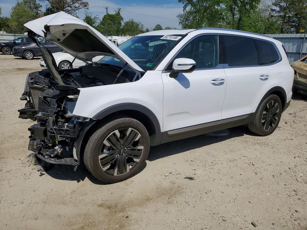 2024 KIA TELLURIDE SX-PRESTIGE | 5XYP5DGCXRG539076 | UPCARS