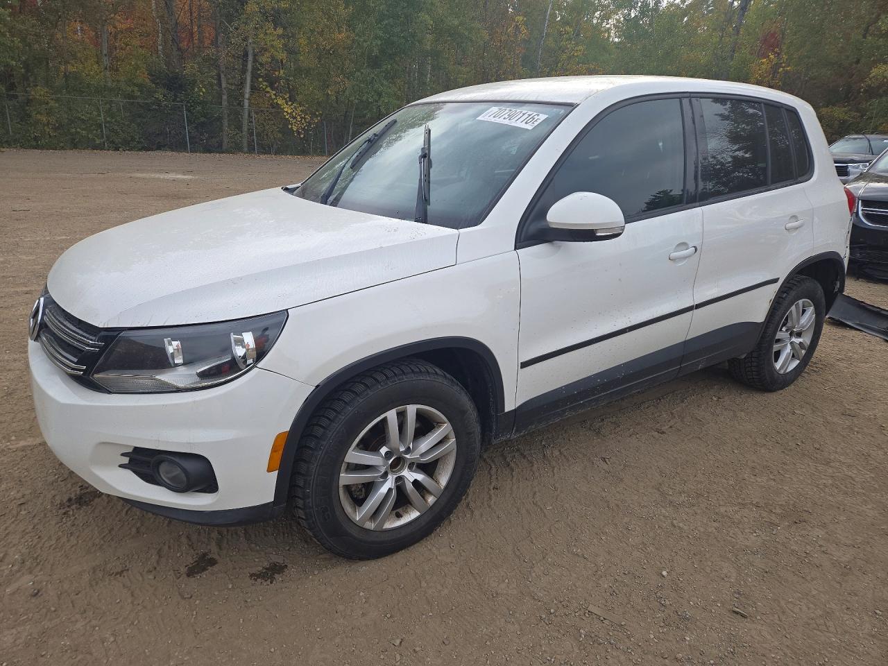 2013 VOLKSWAGEN TIGUAN | WVGJV3AX2DW622696 | UPCARS