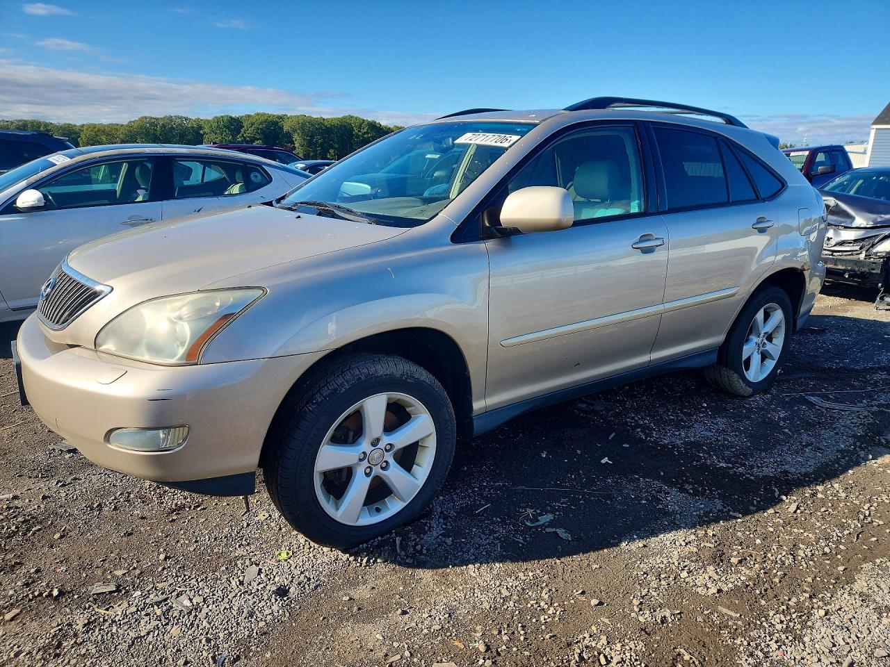 2006 LEXUS RX 330 | 2T2HA31U96C102958 | UPCARS