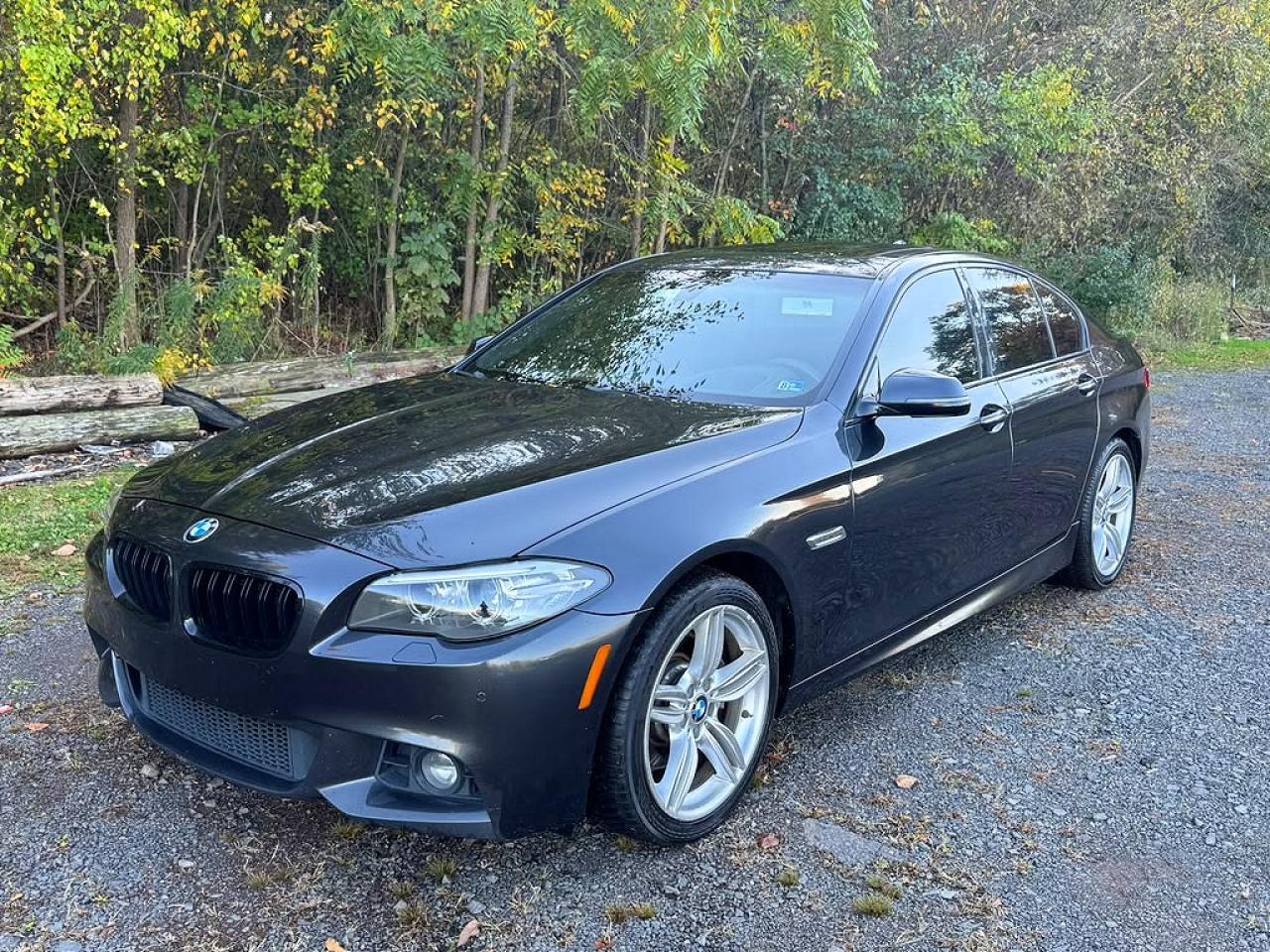2014 BMW 5 SERIES D | WBAXA5C57ED001515 | UPCARS