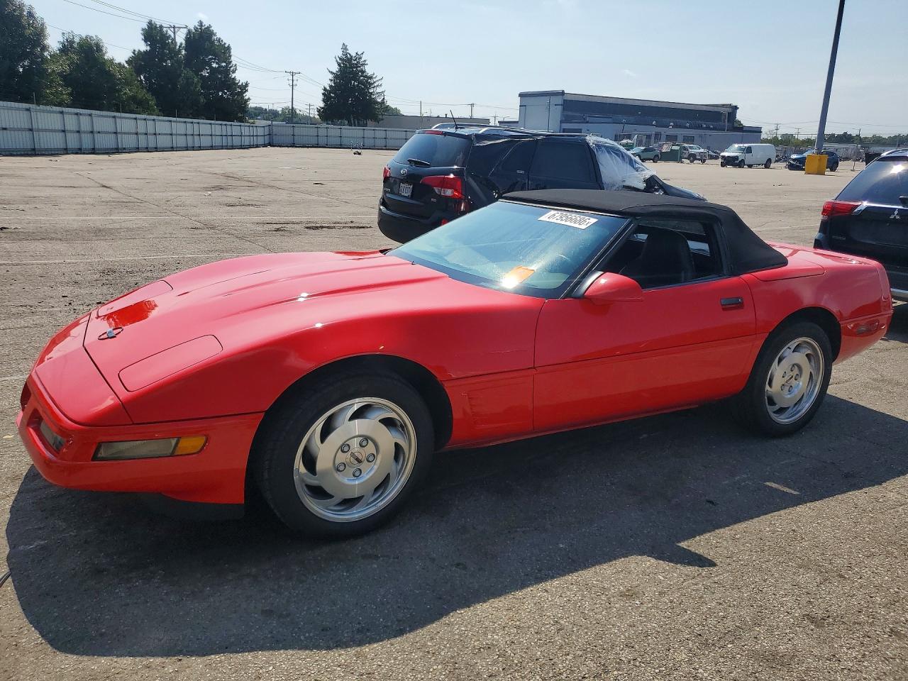 1996 CHEVROLET CORVETTE | 1G1YY32P9T5100122 | UPCARS