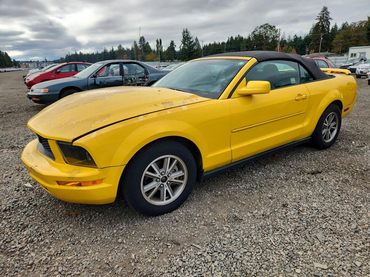 2005 FORD MUSTANG | 1ZVFT84N155182448 | UPCARS