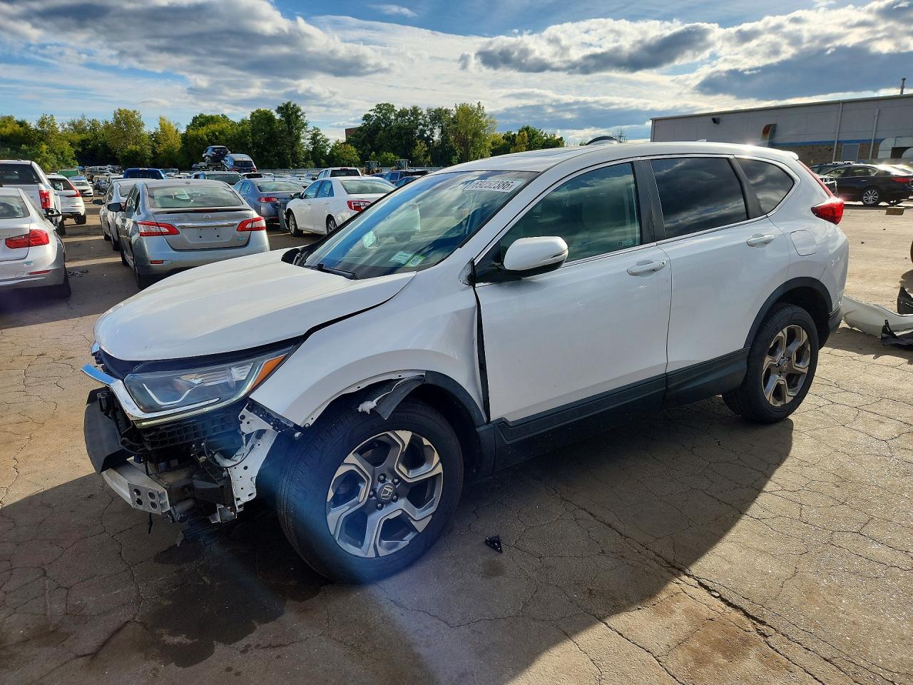 2019 HONDA CRV EXL | 5J6RW2H86KL020311 | UPCARS