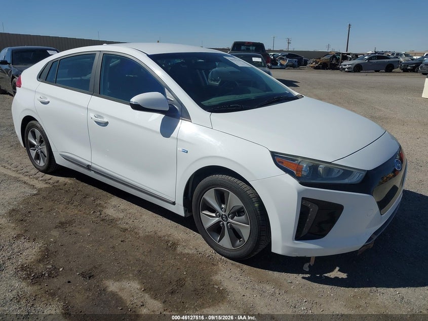 2019 HYUNDAI IONIQ ELECTRIC | KMHC75LHXKU049348 | UPCARS