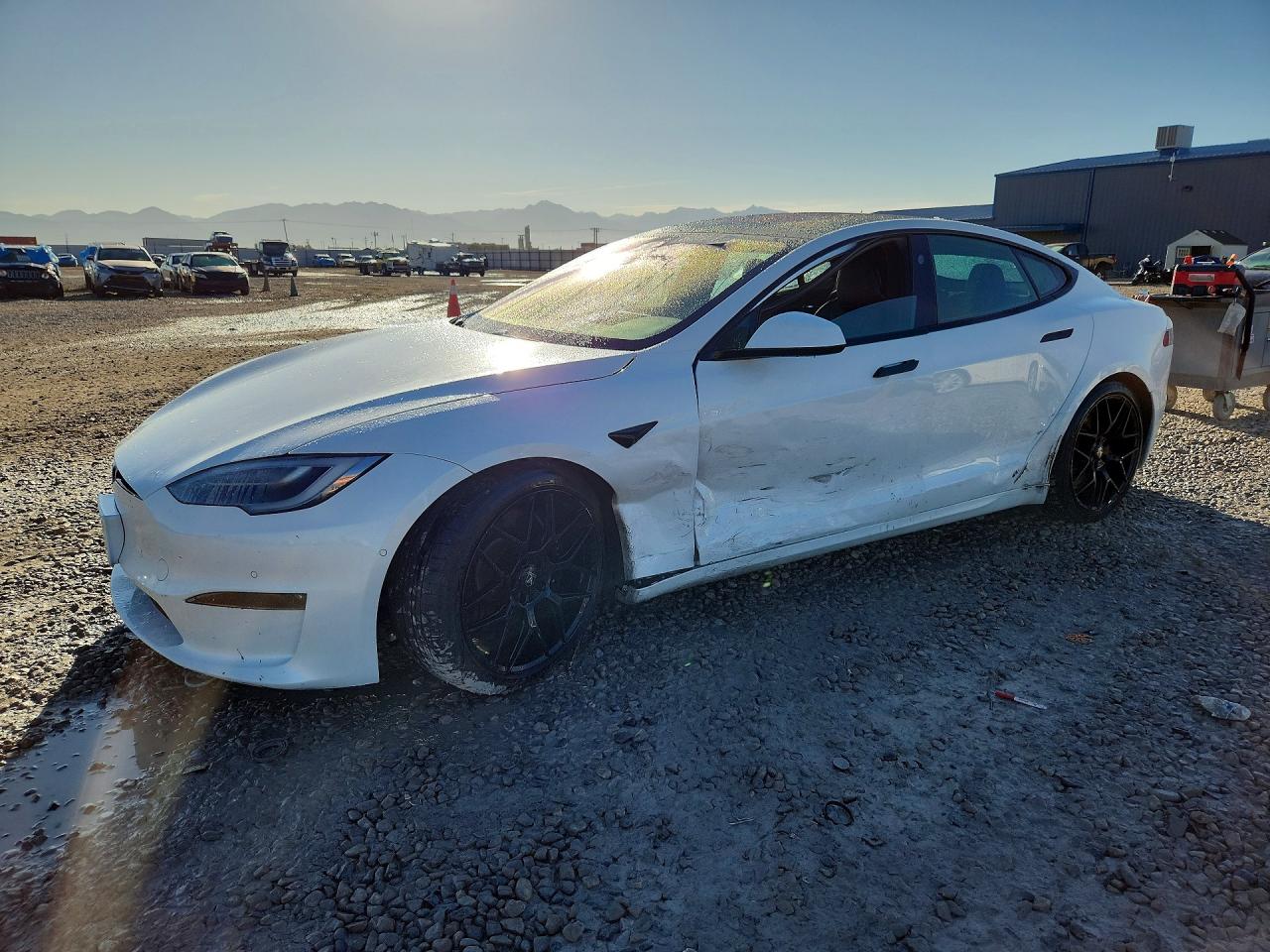 2021 TESLA MODEL S | 5YJSA1E5XMF436247 | UPCARS