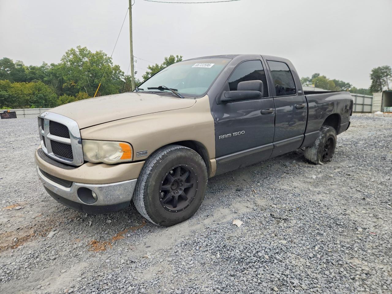 2002 DODGE RAM 1500 | 1D7HA18N42S635807 | UPCARS