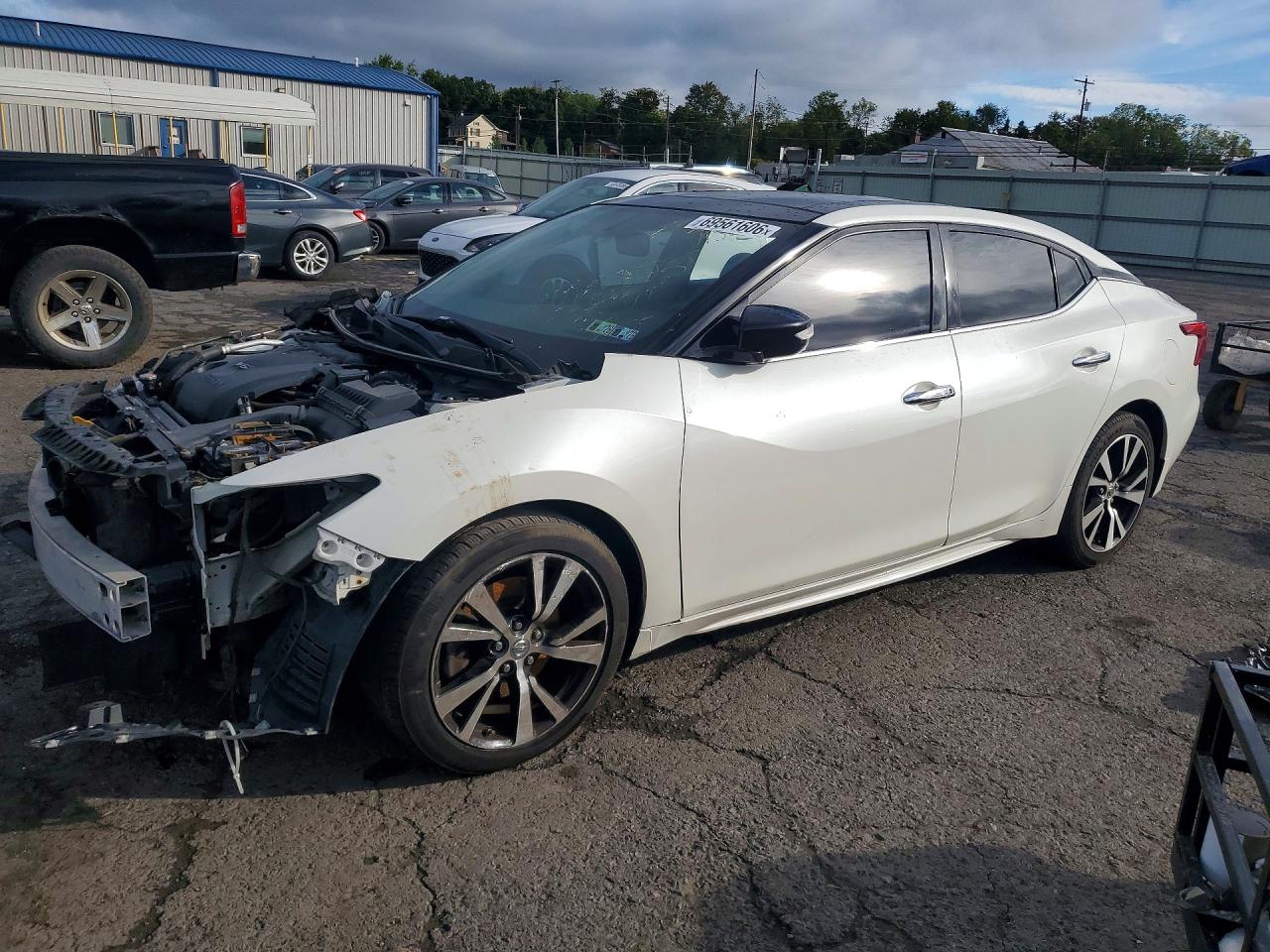2017 NISSAN MAXIMA 3.5 SL | 1N4AA6AP4HC444305 | UPCARS