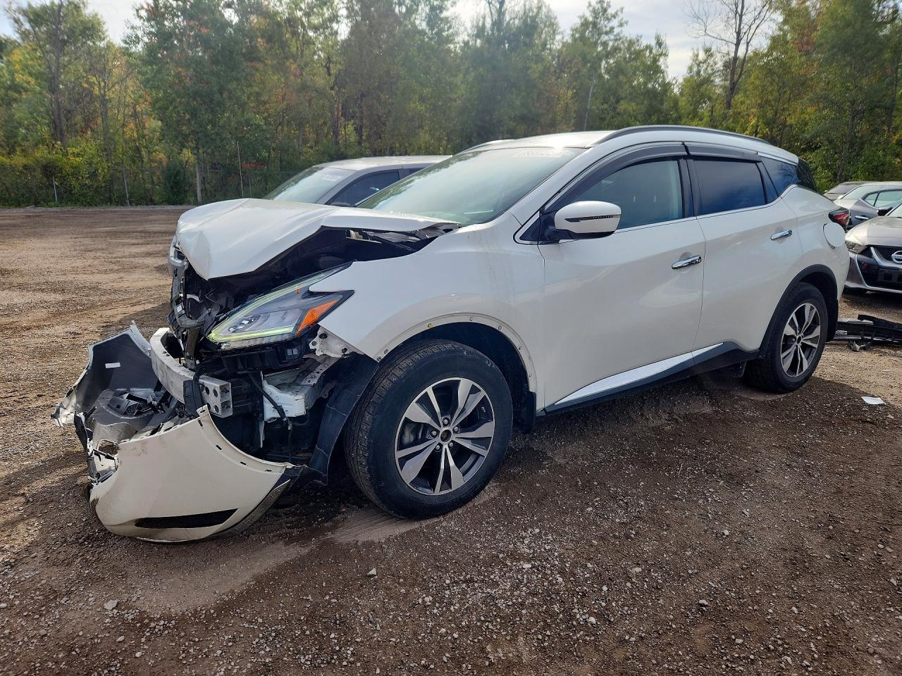 2019 NISSAN MURANO S | 5N1AZ2MJXKN114338 | UPCARS