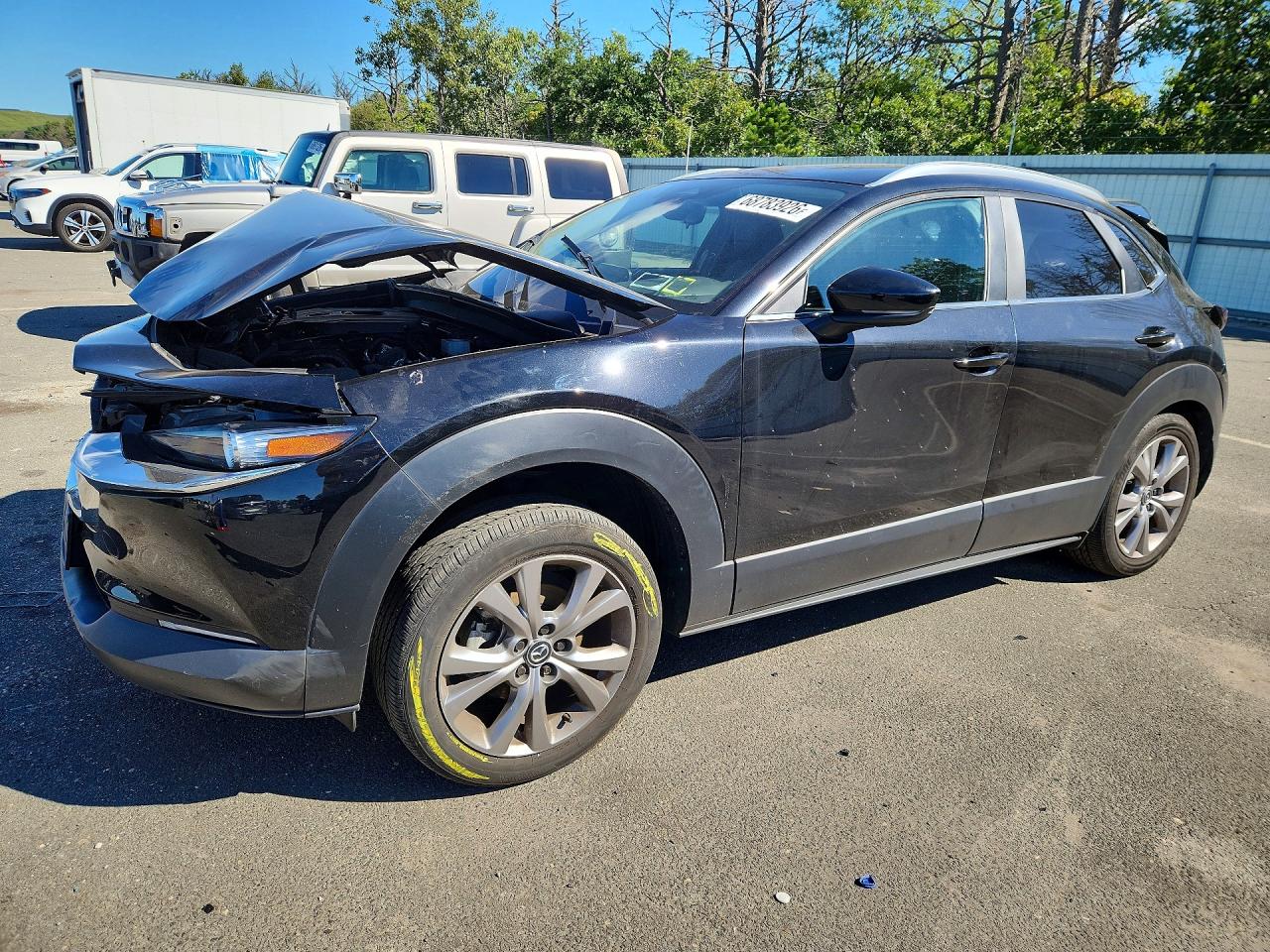 2024 MAZDA CX30 PREFERRED | 3MVDMBCM9RM667092 | UPCARS