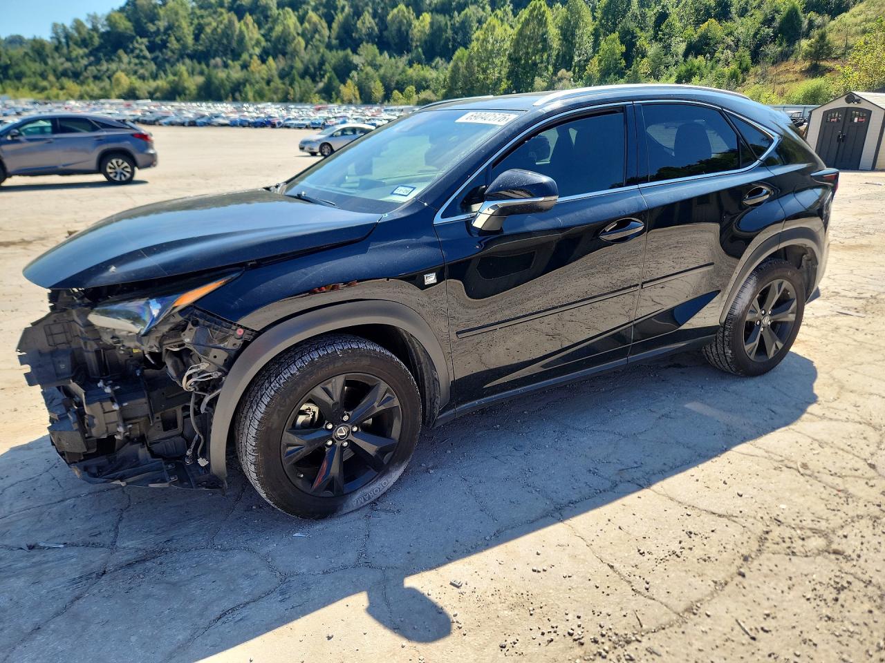 2019 LEXUS NX F SPORT | JTJYARBZ9K2121002 | UPCARS