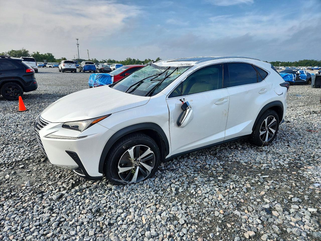 2020 LEXUS NX 300 | JTJGARBZXL2176149 | UPCARS