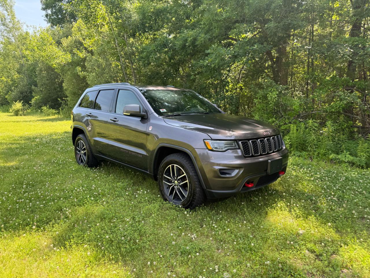 2018 JEEP CHEROKEE TRAILHAWK | 1C4RJFLGXJC300287 | UPCARS