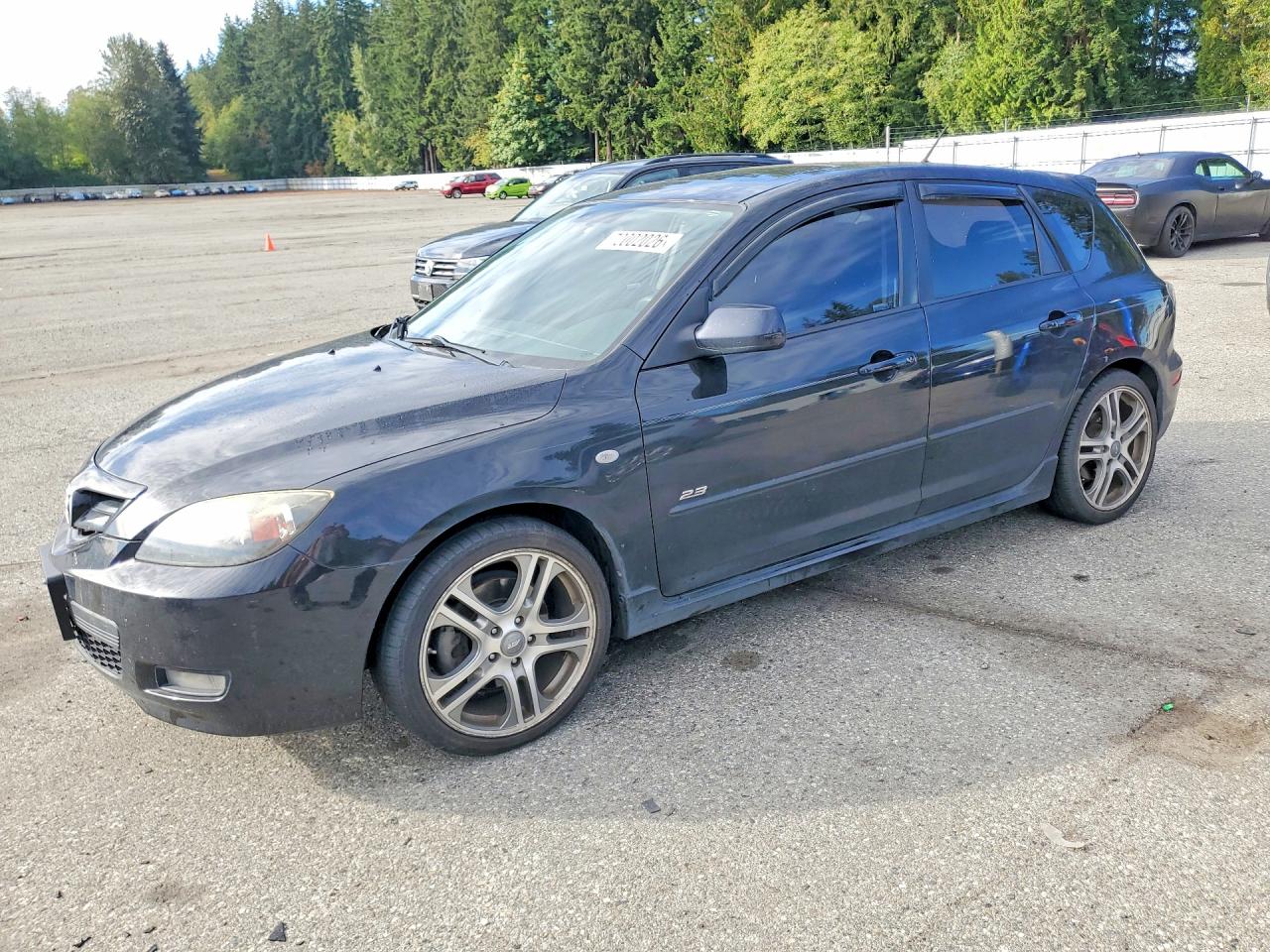 2009 MAZDA MAZDA3 S | JM1BK344391200279 | UPCARS