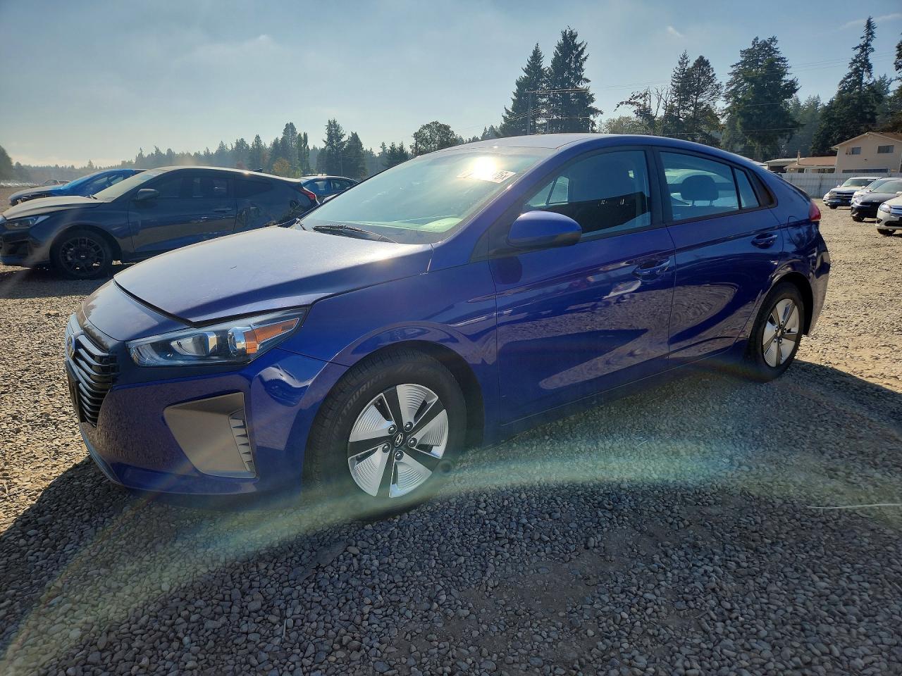 2019 HYUNDAI IONIQ BLUE | KMHC65LC0KU174172 | UPCARS