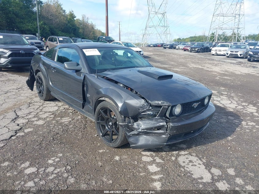 2008 FORD MUSTAN GT DELUXE/GT PREMIUM | 1ZVHT82H785189401 | UPCARS