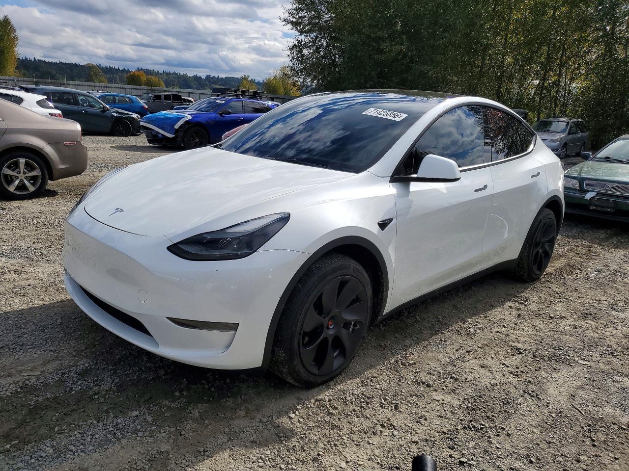 2023 TESLA MODEL Y | 7SAYGDEE2PF662882 | UPCARS