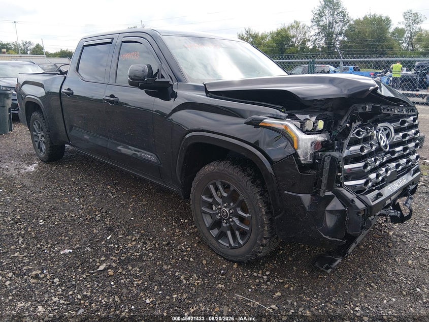 2022 TOYOTA TUNDRA PLATINUM | 5TFNA5EC5NX008144 | UPCARS