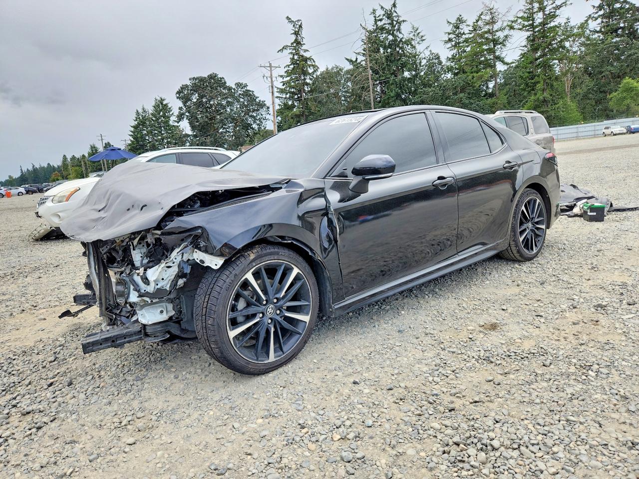 2019 TOYOTA CAMRY XSE | 4T1B61HK9KU193033 | UPCARS