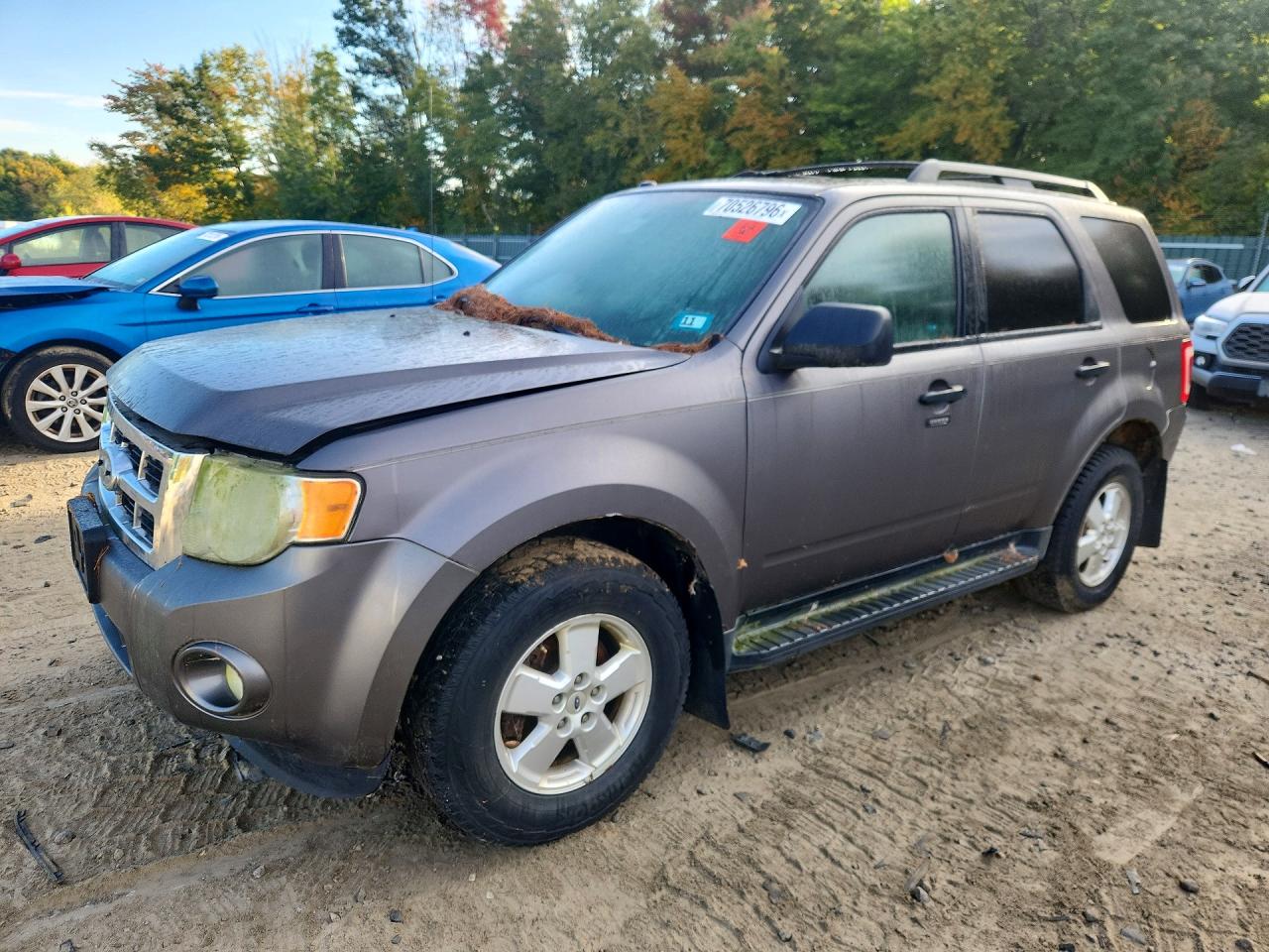 2010 FORD ESCAPE XLT | 1FMCU9DG8AKD15661 | UPCARS