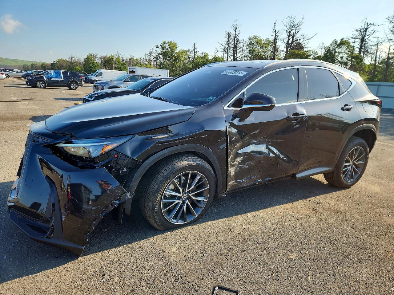 2025 LEXUS NX BASE | 2T2AGCEZ7SC094262 | UPCARS