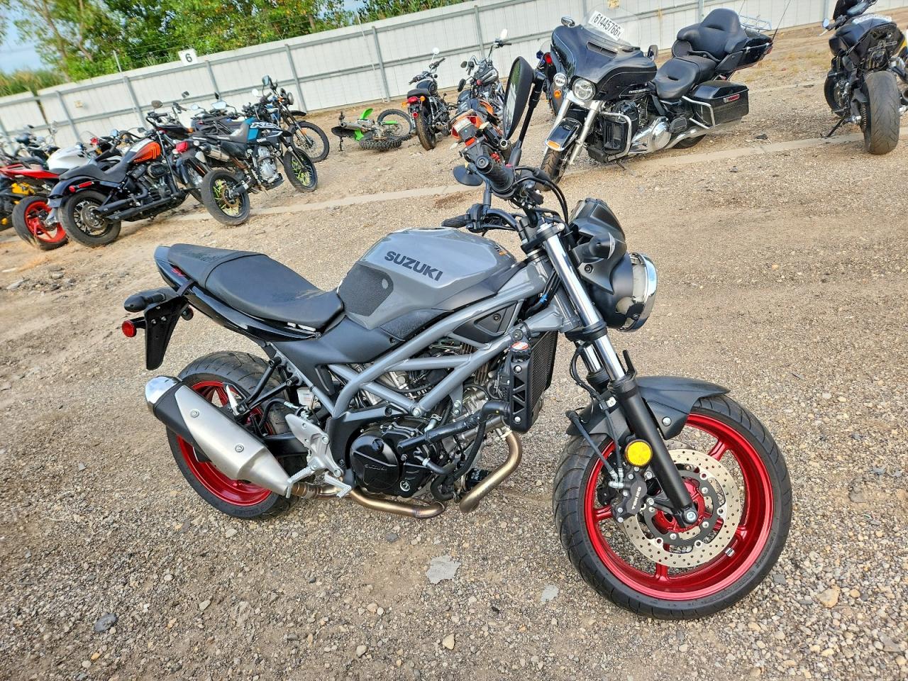 2023 SUZUKI SV650 | JS1VP55A0P7100093 | UPCARS