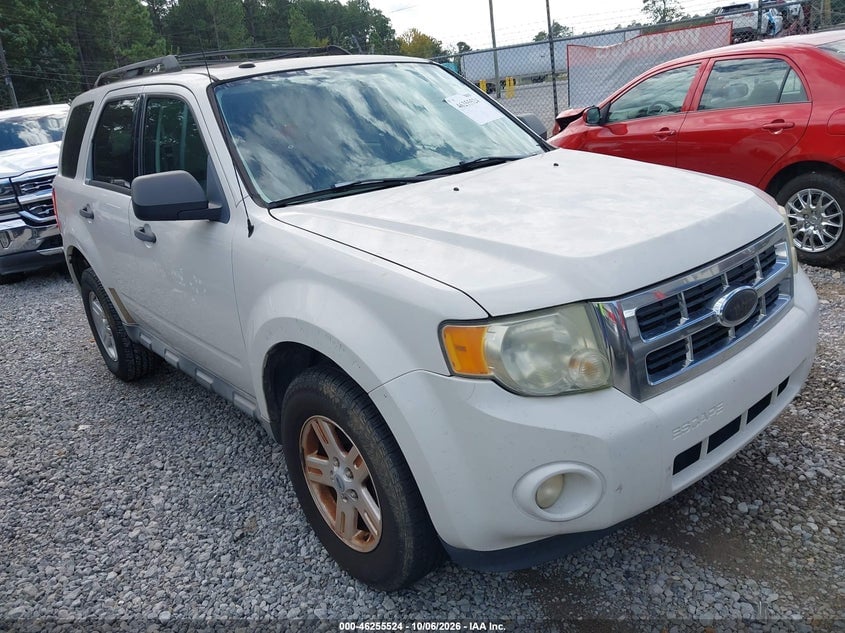 2010 FORD ESCAPE XLT | 1FMCU0DG8AKC61161 | UPCARS