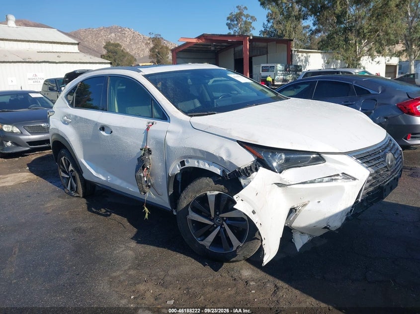 2020 LEXUS NX 300 | JTJDARBZ1L5012466 | UPCARS