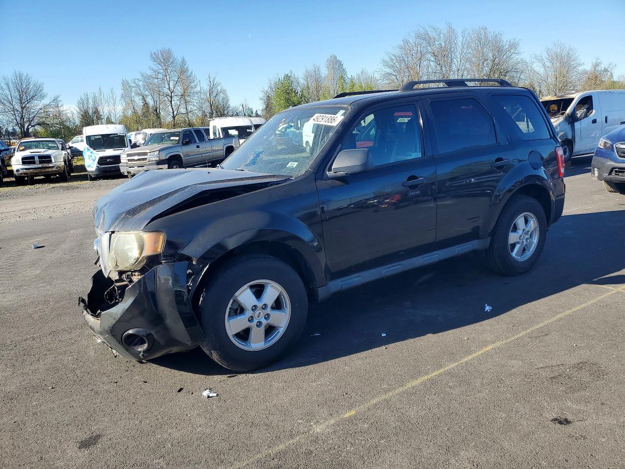 2010 FORD ESCAPE XLT | 1FMCU0D73AKD38809 | UPCARS