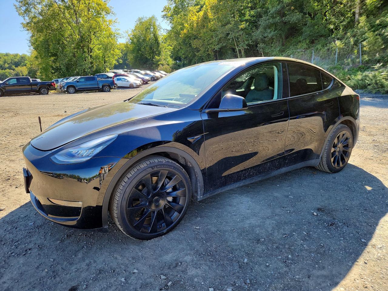 2023 TESLA MODEL Y | 7SAYGDEE3PF613397 | UPCARS