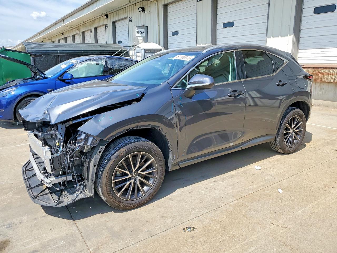 2024 LEXUS NX 250 PREMIUM | 2T2GDCAZ6RC013481 | UPCARS